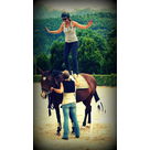 activite
