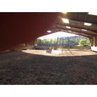 IMG 0139