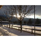 IMG 0638