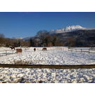 IMG 0645
