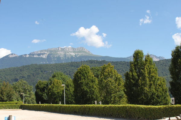 IMG 4765