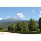 IMG 4765