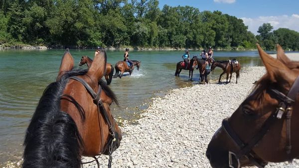 Balade Journée dans le Rhone