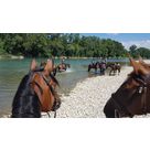 Balade Journée dans le Rhone