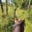Balade tour de Crossey