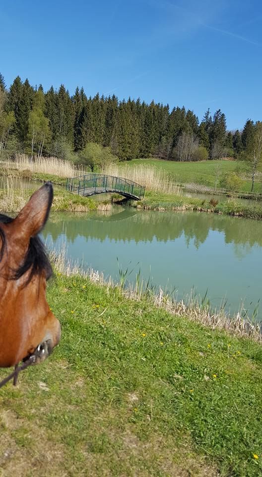 Balade Journée Etang des Chartreux