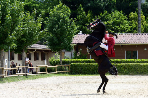 Stage découverte du spectacle