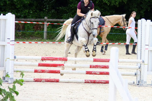 Perf obstacle