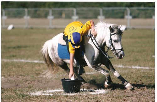 Entrainement Pony games - les Samedi à 15h30