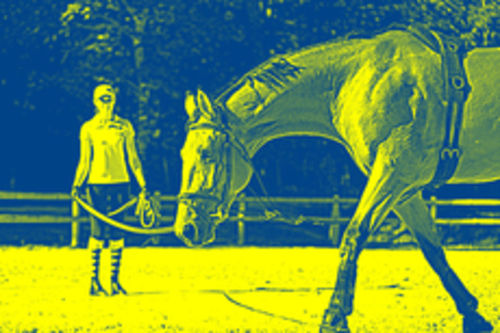 Dimanche 1er avril: séance longe à l'obstacle