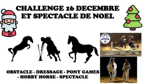 Challenge et spectacle de Noel