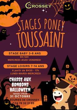 CHASSE AUX BONBONS
