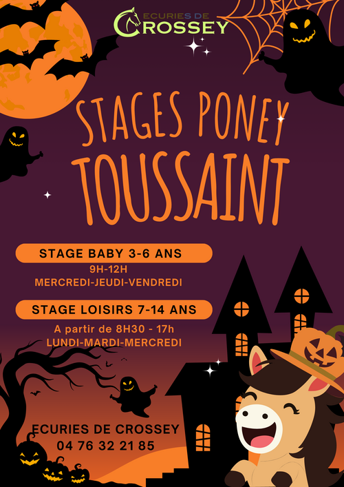 STAGES TOUSSAINT 2025