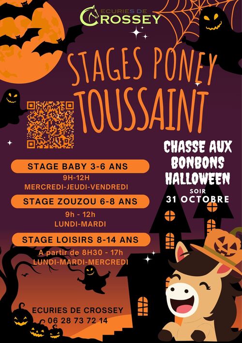 STAGES TOUSSAINT 2026
